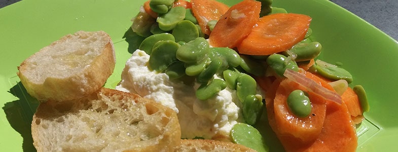 recette vegetarienne salade feves carottes ricotta