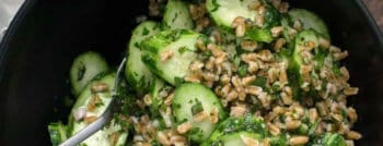 recette-vegetarienne-salade-epeautre-concombre-herbes