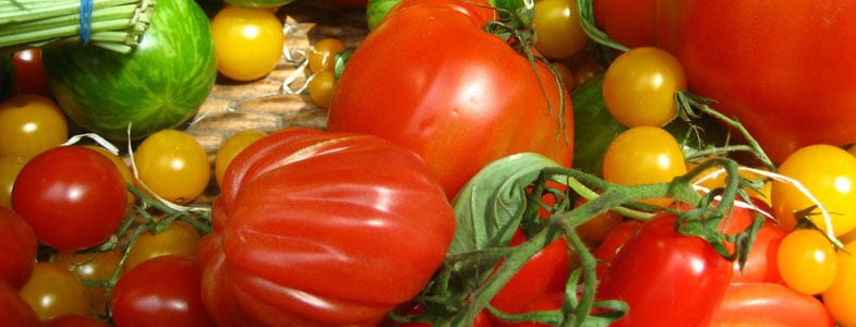 tomates alimentation végétarienne