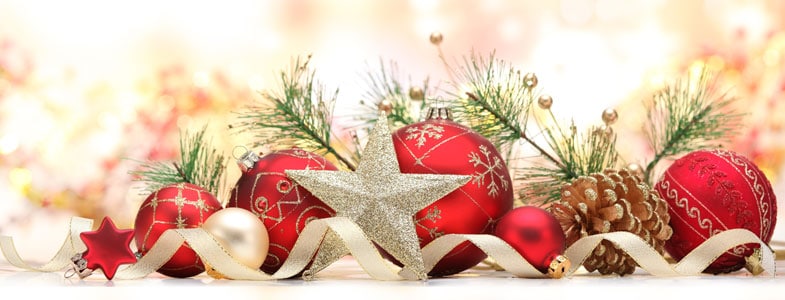Menu de Noël végétarien