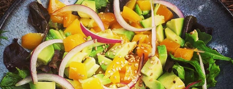 recette végétarienne salade avocat mangue oignon