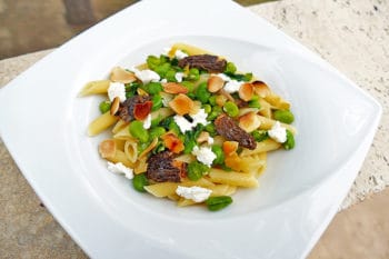 recette-vegetarienne-penne-morilles-feves