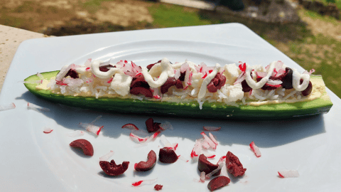 recette-vegetarienne-concombres-garnis-printemps