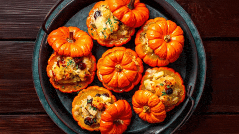 menu-vegetarien-semaine-27-octobre-2025